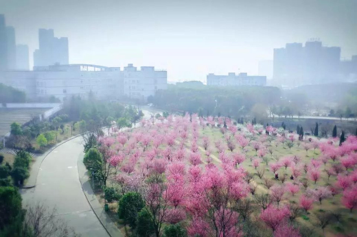 汉口学院漂亮风景